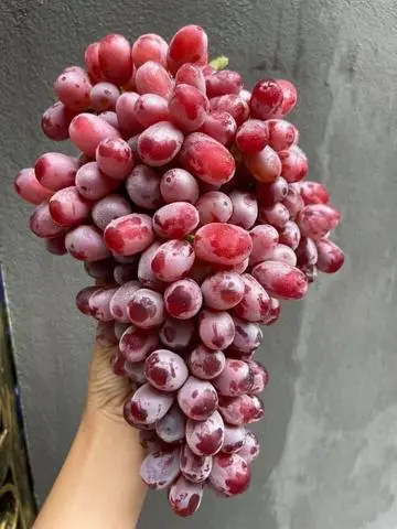 Hình ảnh Nho Đỏ Ruby Không Hạt - 1kg