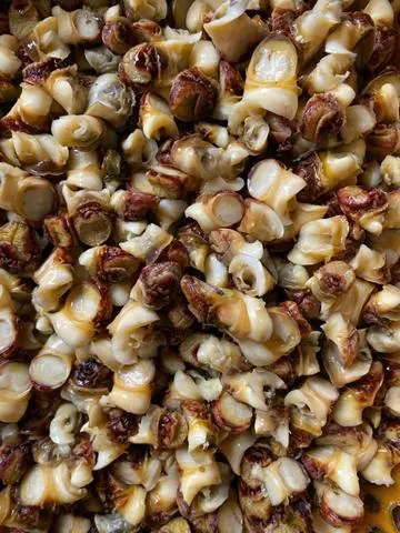 Hình ảnh Ruột ốc mặt trăng