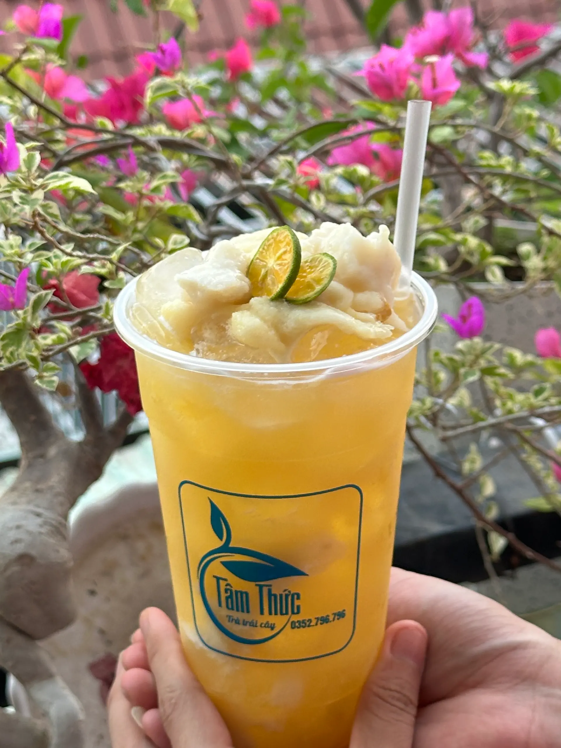 Hình ảnh Trà mãng cầu
