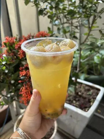 Hình ảnh Trà ô long nhài măng cụt