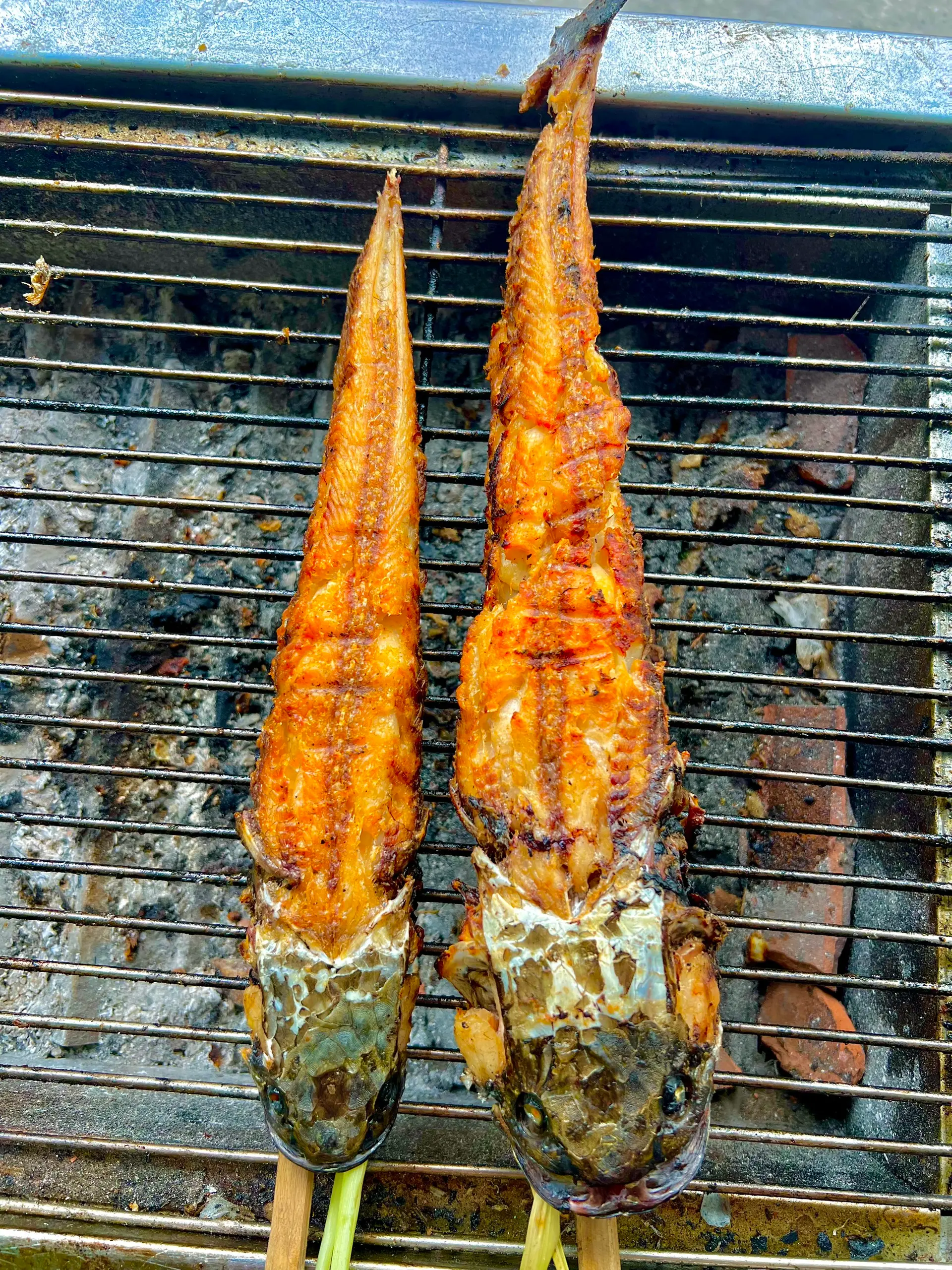 Hình ảnh Combo : 1 cá lớn + 1 cá vừa