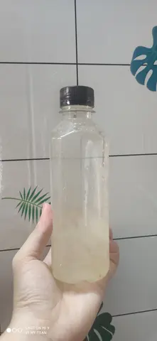 Hình ảnh Nha đam đường phèn