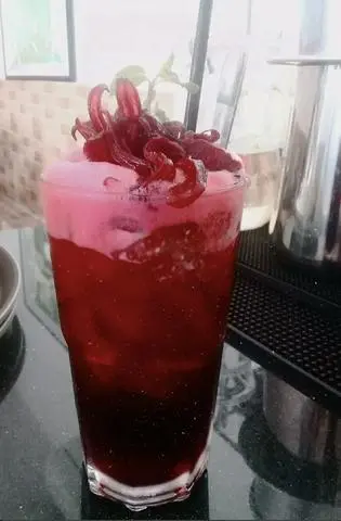 Hình ảnh Trà Hibicus