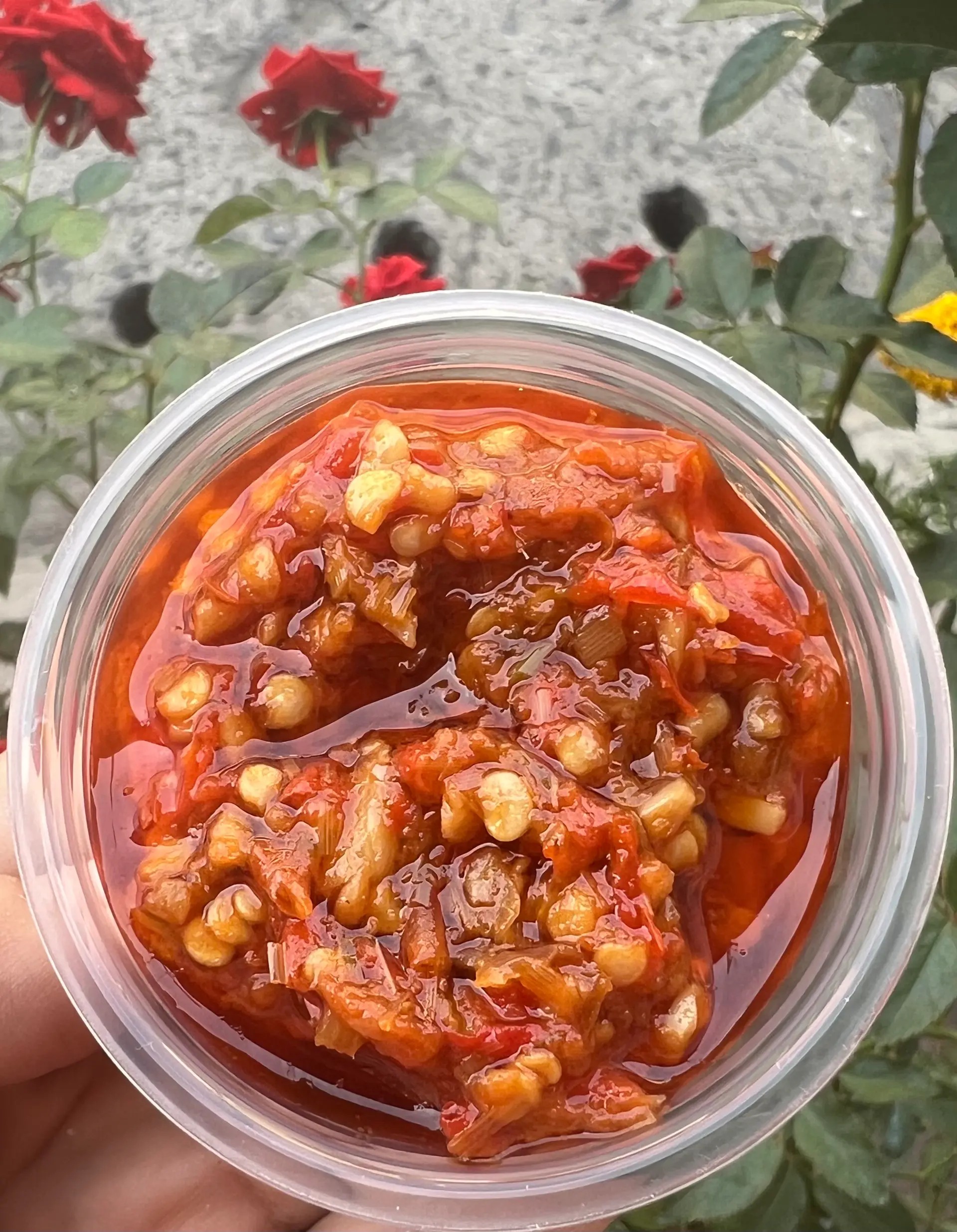 Hình ảnh ớt sate