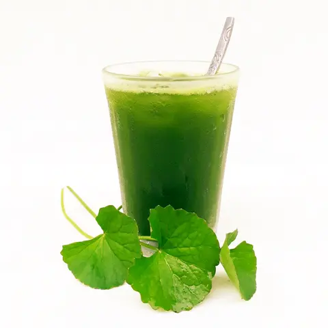 Hình ảnh Rau Má Ly Lớn