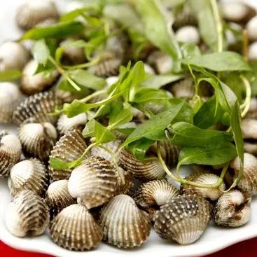 Hình ảnh Sò huyết lacost