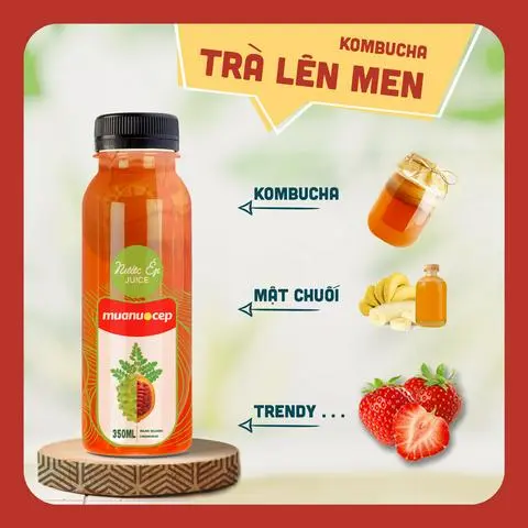 Hình ảnh Kombucha Trà Lên Men Trendy Healthy
