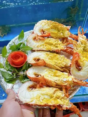 Hình ảnh Tôm hùm xanh
