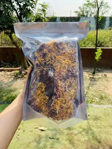 Hình ảnh 500g cơm cháy bể gạo lức