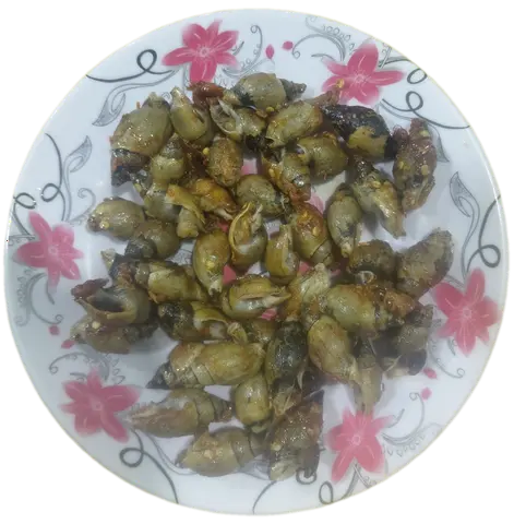 Hình ảnh Cà Na Rang Muối 