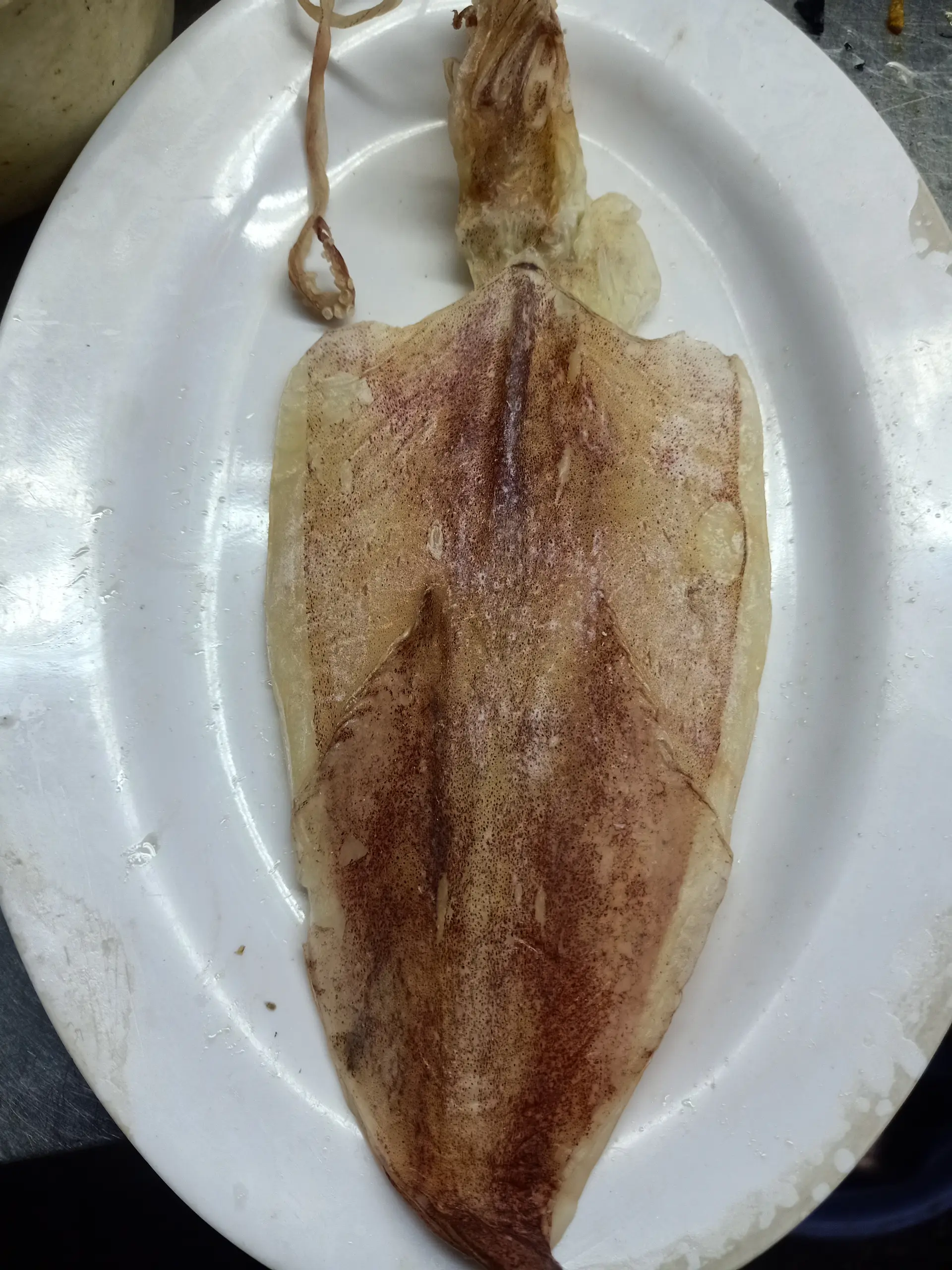 Hình ảnh Khô mực nướng