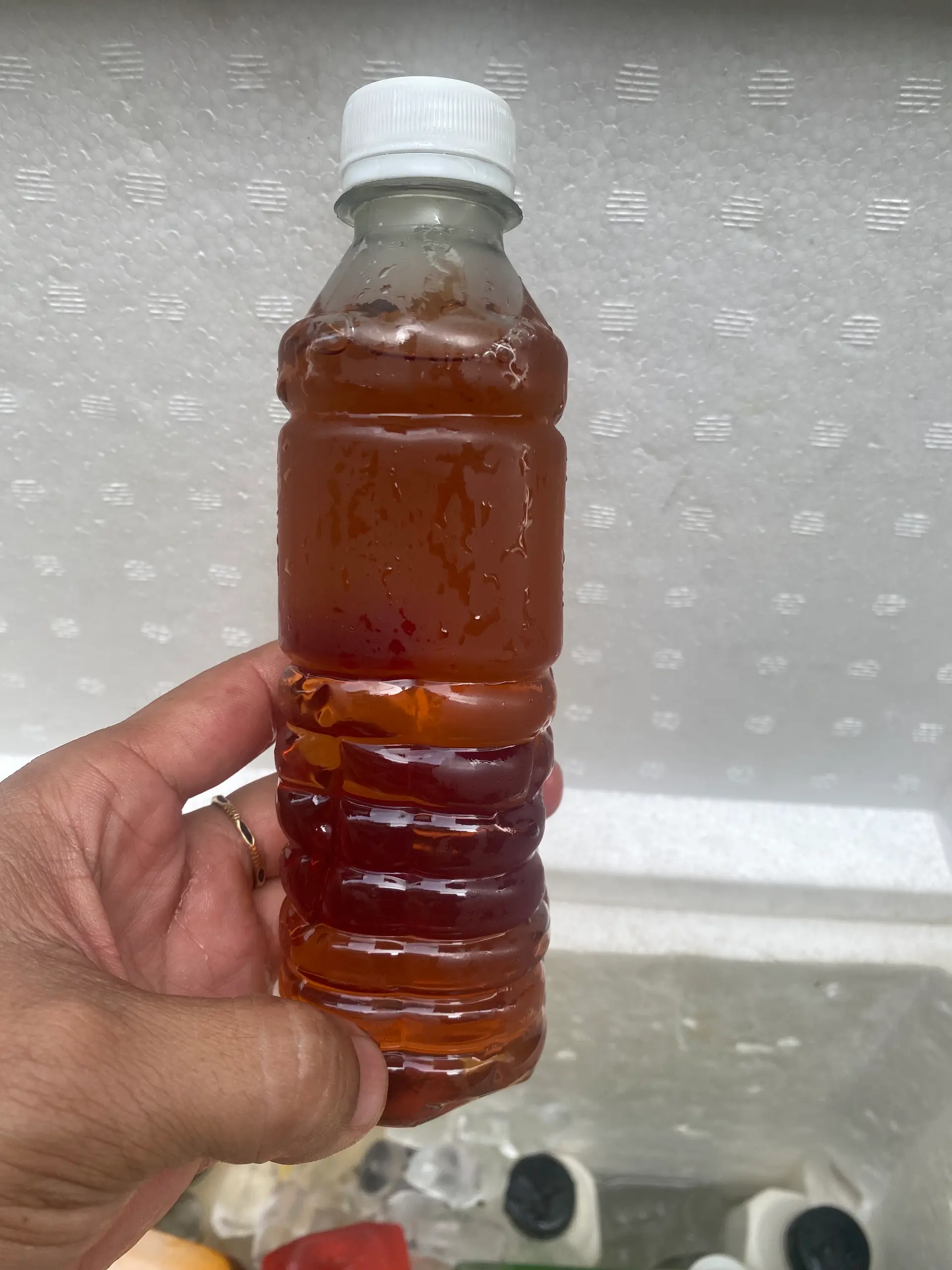 Hình ảnh sâm lạnh