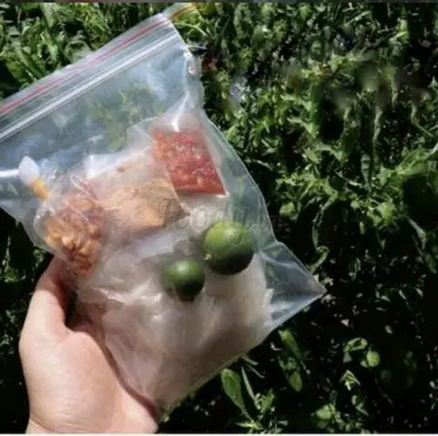 Hình ảnh Bánh tráng phơi sương tỏi ớt muối nhuyễn