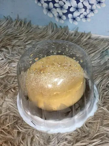 Hình ảnh bánh flan phô mai 