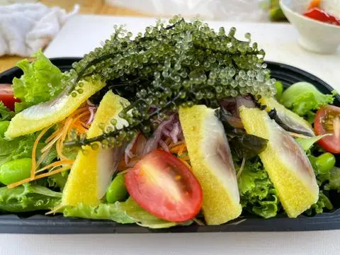 Hình ảnh SD - salad cá trích