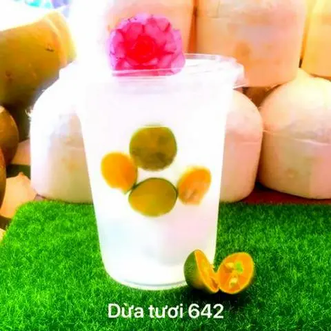 Hình ảnh Dừa tắc ly đại