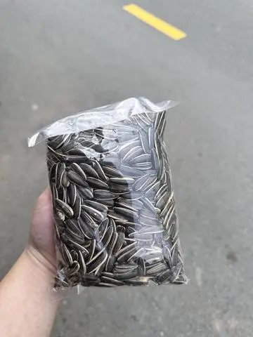 Hình ảnh Hạt hướng dương 