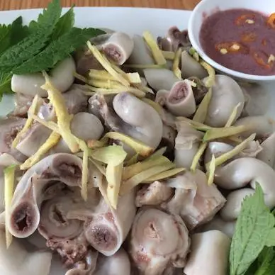 Hình ảnh DỒI TRƯỜNG HẤP GỪNG