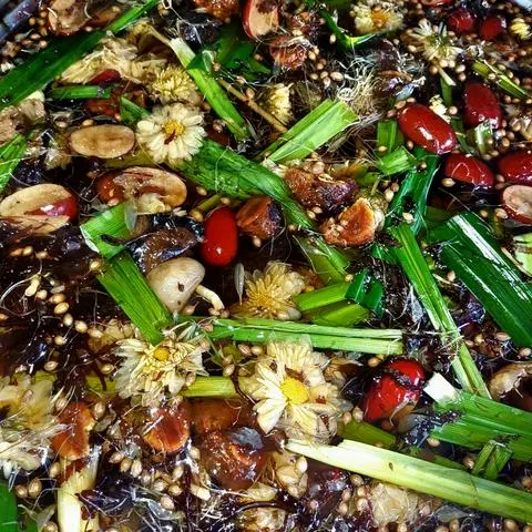 Hình ảnh Sâm rong biển ( ly khổng lồ) 