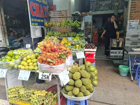 Hình ảnh mít mã lai