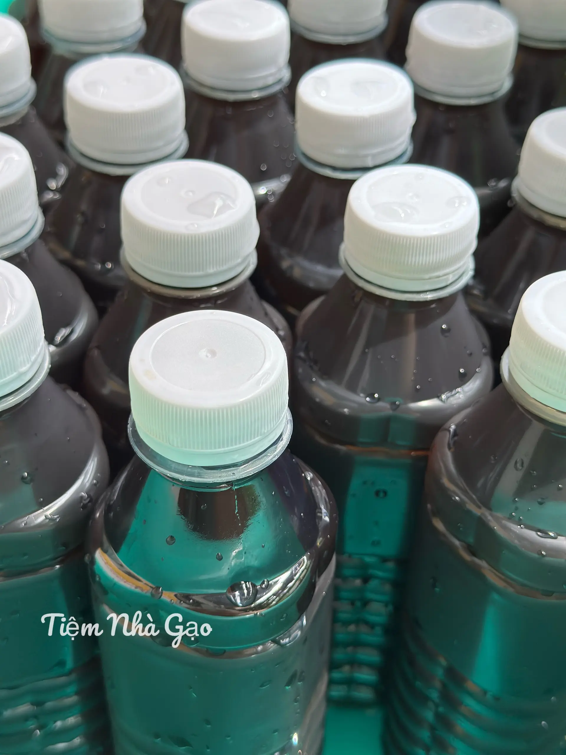 Hình ảnh Nước Sâm Chai 