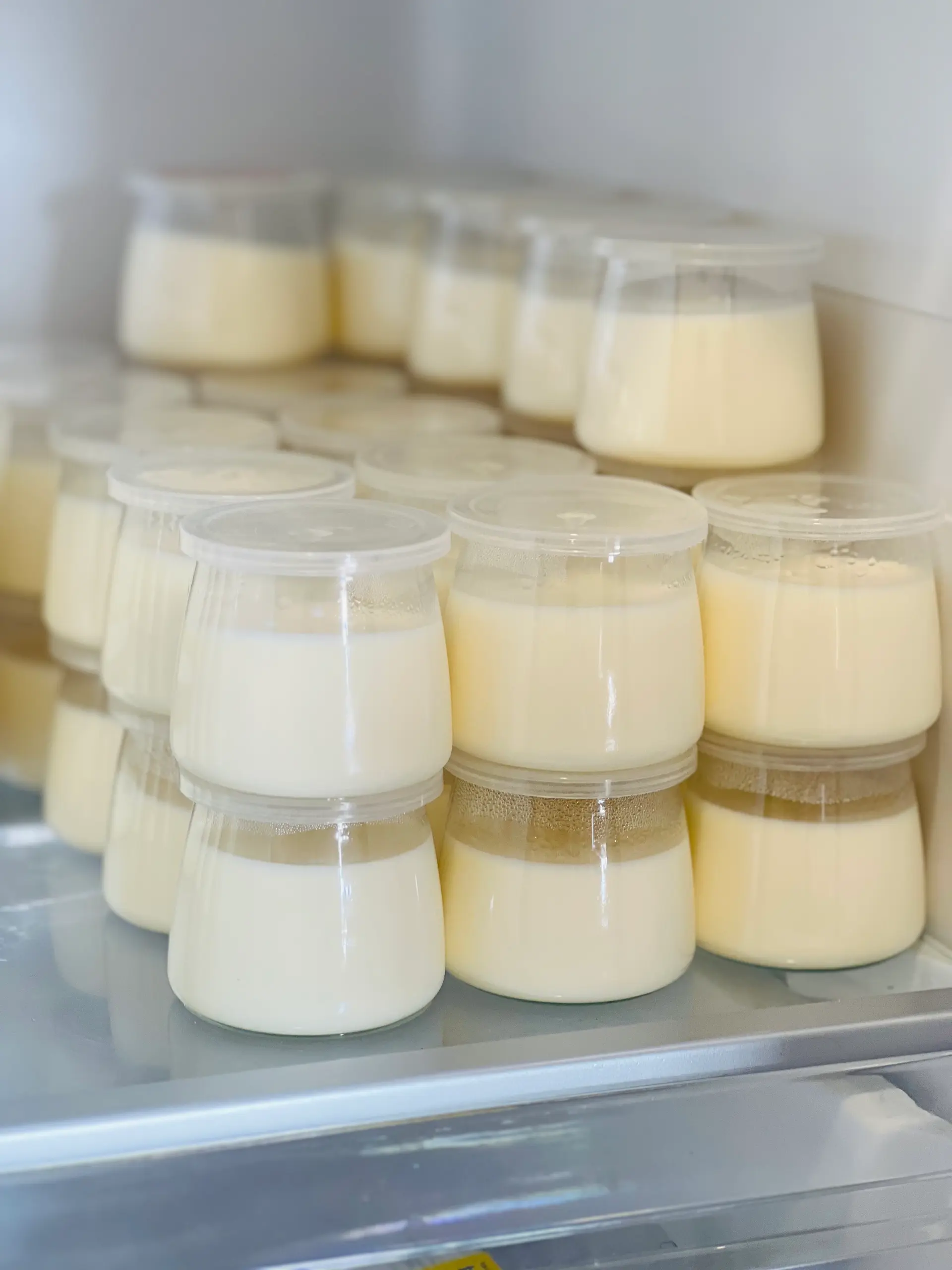 Hình ảnh SỮA CHUA TRUYỀN THỐNG