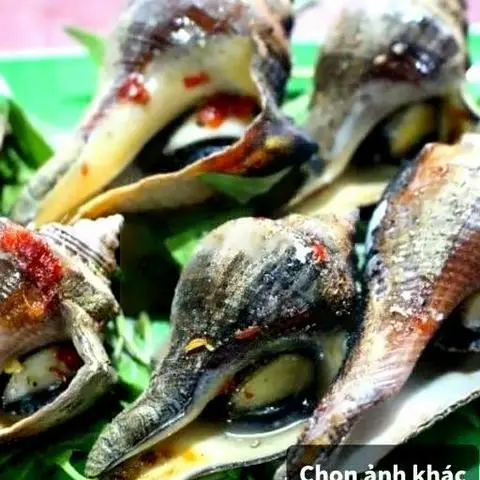 Hình ảnh Ốc BÚA Nướng Mọi 