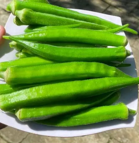 Hình ảnh Đậu bắp luộc 