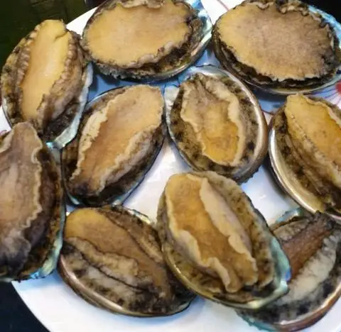 Hình ảnh bào ngư 