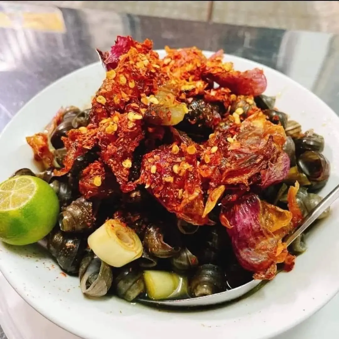 Hình ảnh ốc hút điện phương