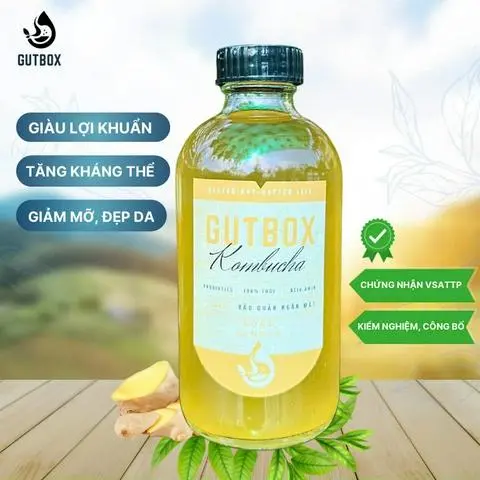 Hình ảnh Kombucha gừng