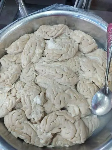 Hình ảnh Óc heo 