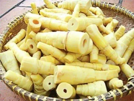 Hình ảnh Măng thêm