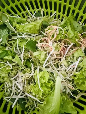 Hình ảnh Rau Thêm