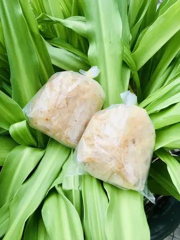 Hình ảnh Bánh Tráng Muối Nhuyễn Tỏi Cay ít