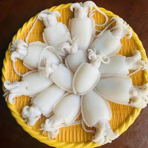 Hình ảnh mực thêm