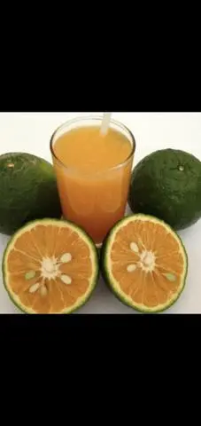 Hình ảnh Nước cam tươi 