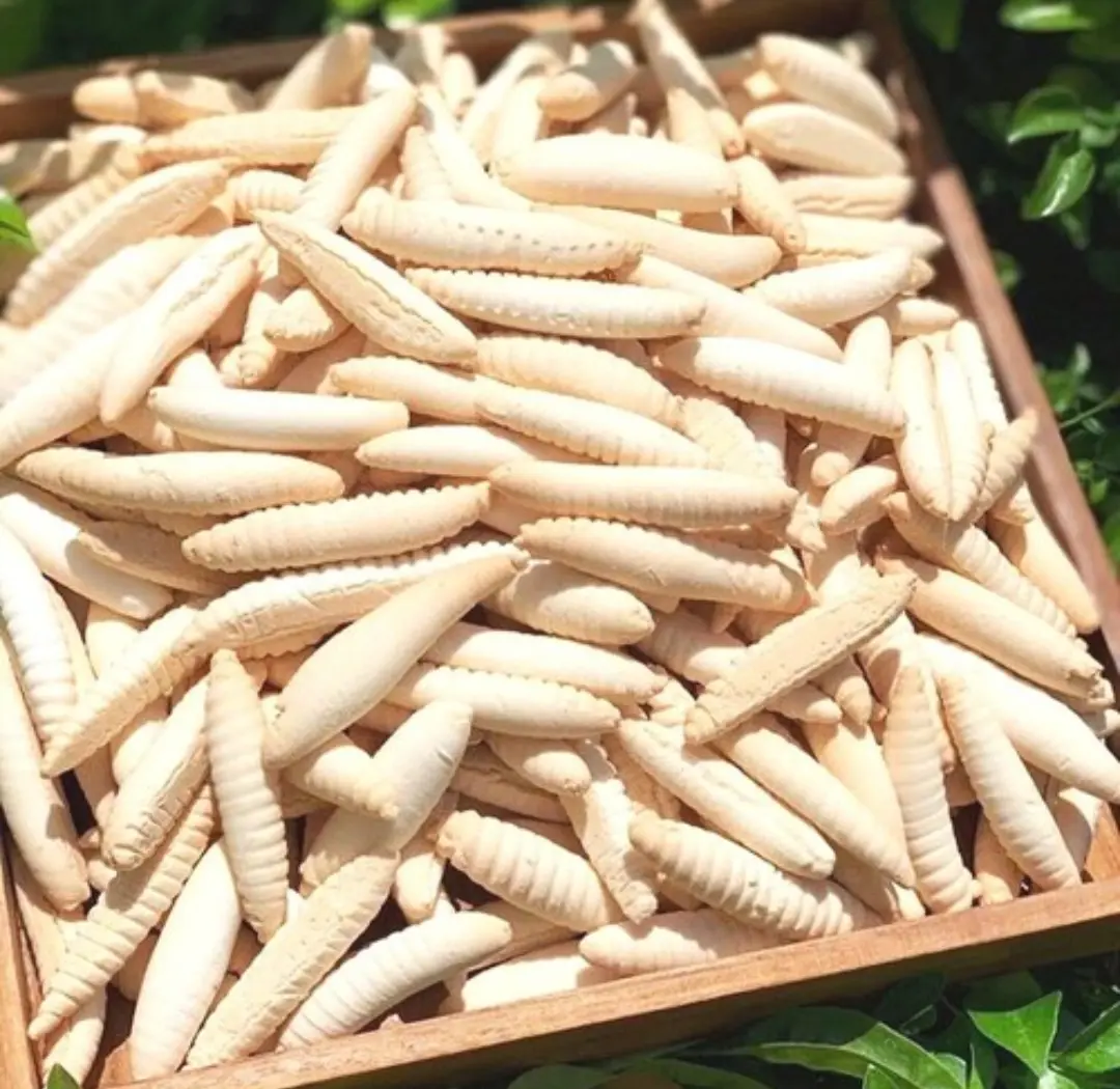 Hình ảnh bánh sâu sữa 