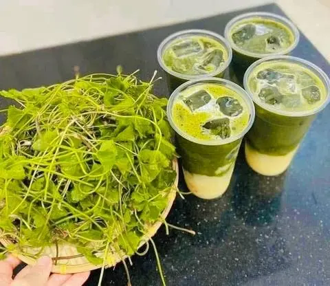 Hình ảnh Rau má sữa dừa tươi