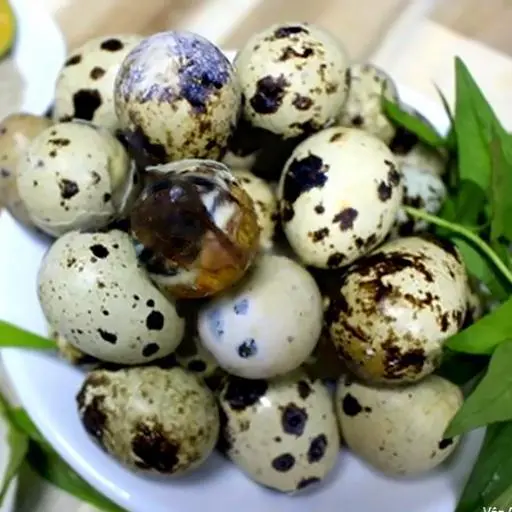Hình ảnh Trứng cút lộn luộc