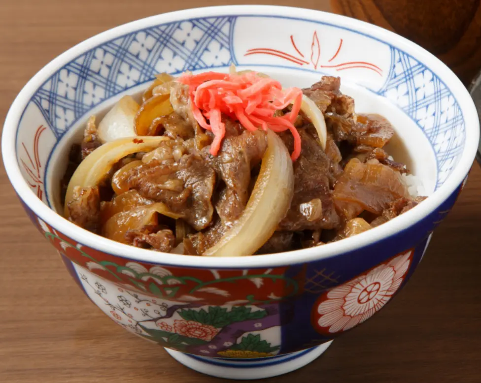 Hình ảnh PHẦN THỊT BÒ HẦM KIỂU NHẬT GYUDON - KHÔNG CƠM