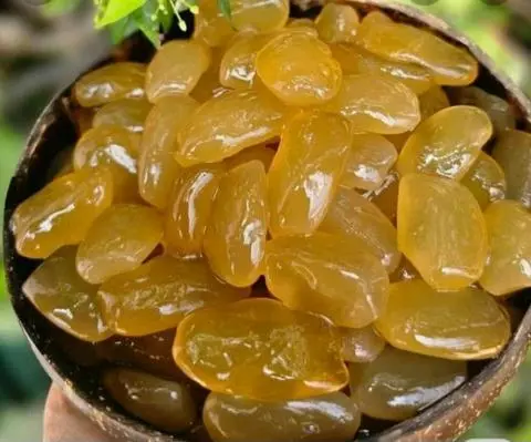 Hình ảnh Đác rim ,thốt nốt