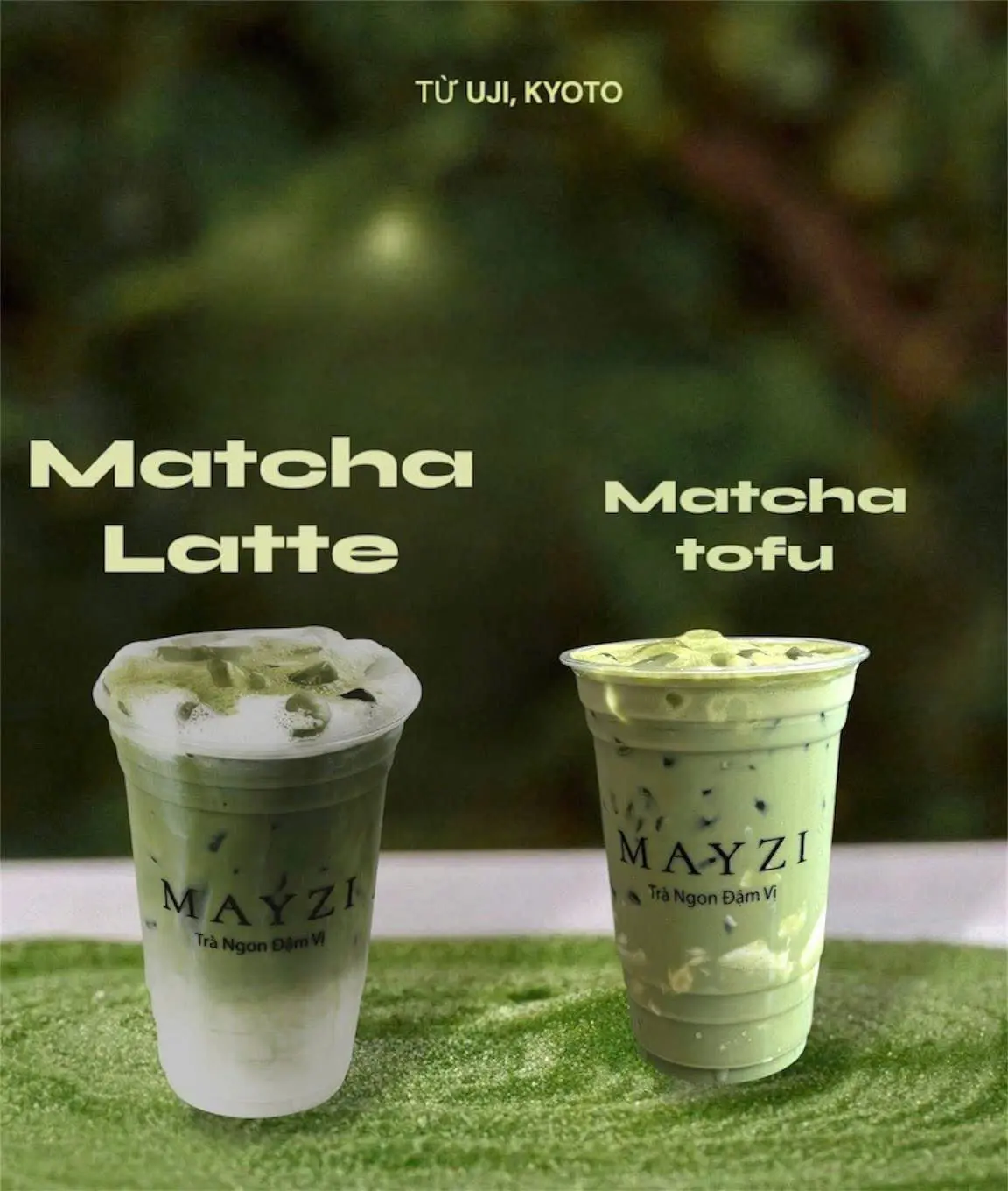 Hình ảnh Matcha tofu