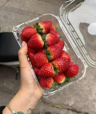 Hình ảnh Dâu Tây Size Bi To 