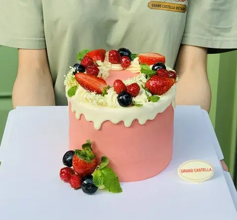 Hình ảnh Bánh Kem Phô Mai Trái Cây Tươi Size 15cm cao 13cm