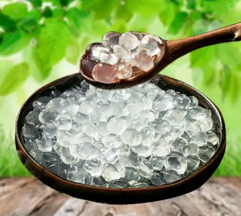 Hình ảnh Trân Châu Trắng 