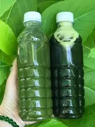 Hình ảnh Chai Rau Má Tươi Lạnh/ 1 Chai 330ml