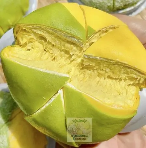 Hình ảnh Bánh Crep sầu Riêng Ngàn lớp dứa mix vani 14cm