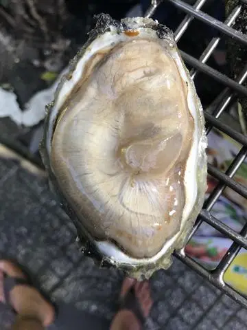 Hình ảnh Hàu Nướng Mọi
