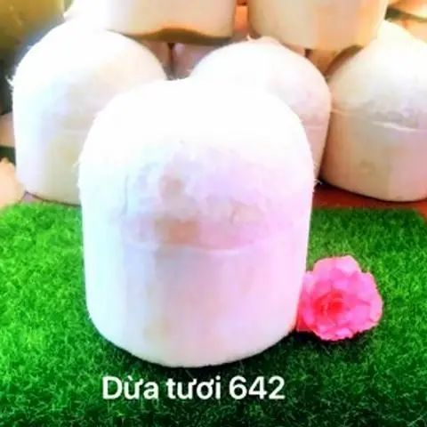 Hình ảnh Dừa gọt trắng